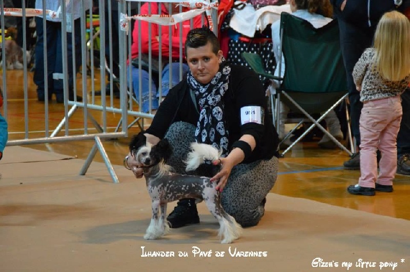 Ilhander  du pavé de varennes